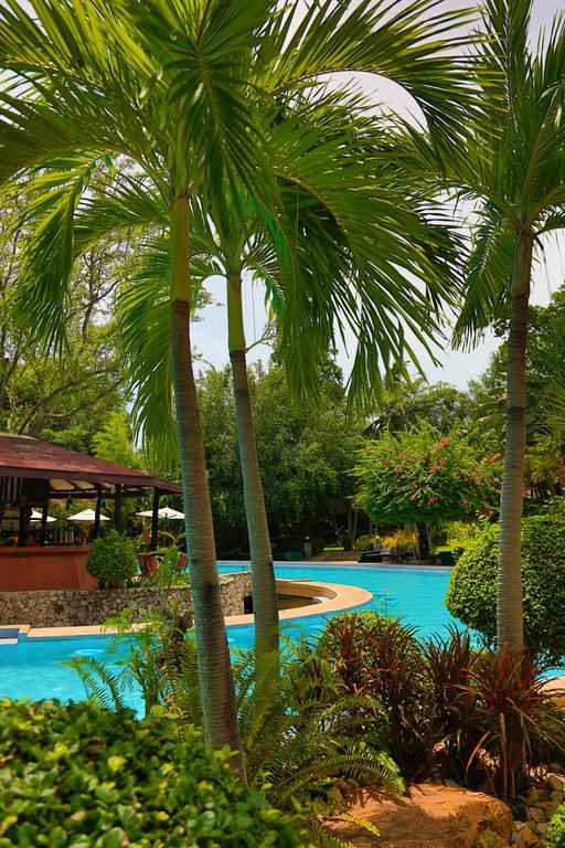 Loma Resort & Spa Pattaya Extérieur photo
